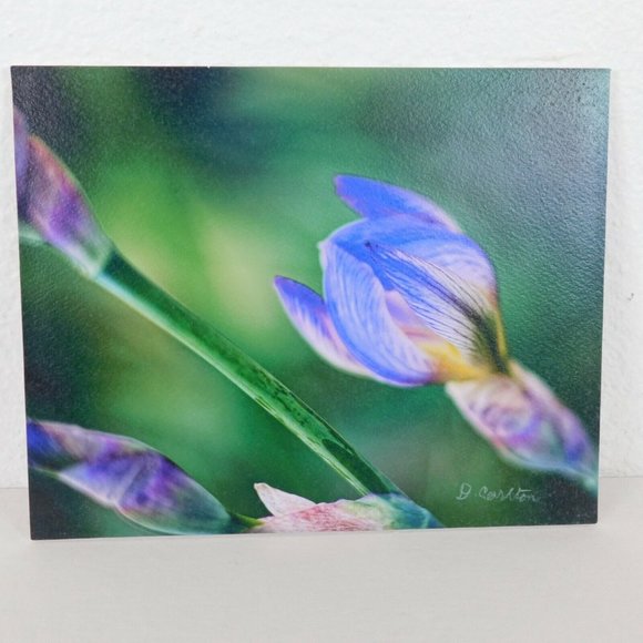 Purple Iris Flower Color Photography Lot of 2 Print Foam Board Botanical Nature - Picture 2 of 6
